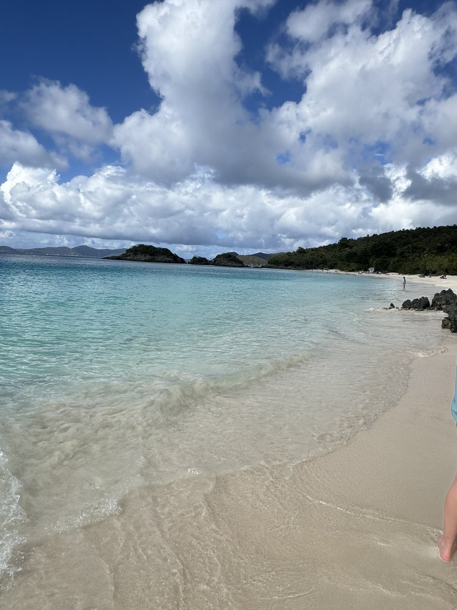 Lyndsey W. tweet media