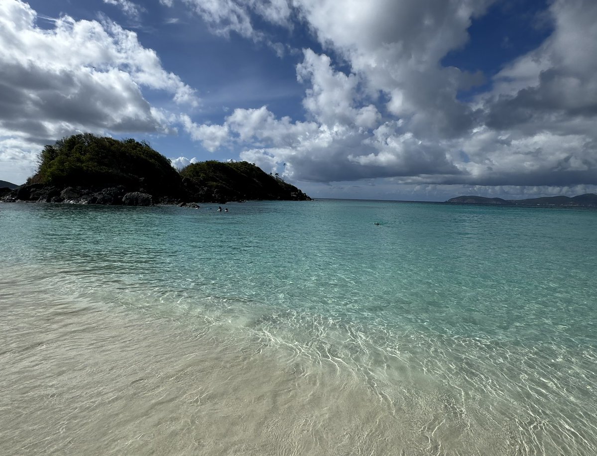 Lyndsey W. tweet media