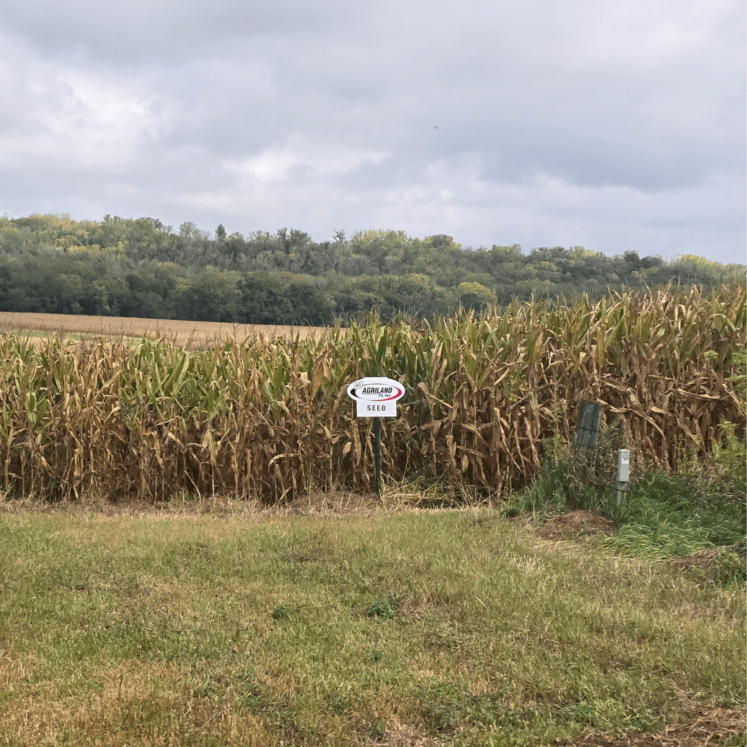 AGRILAND FS tweet media