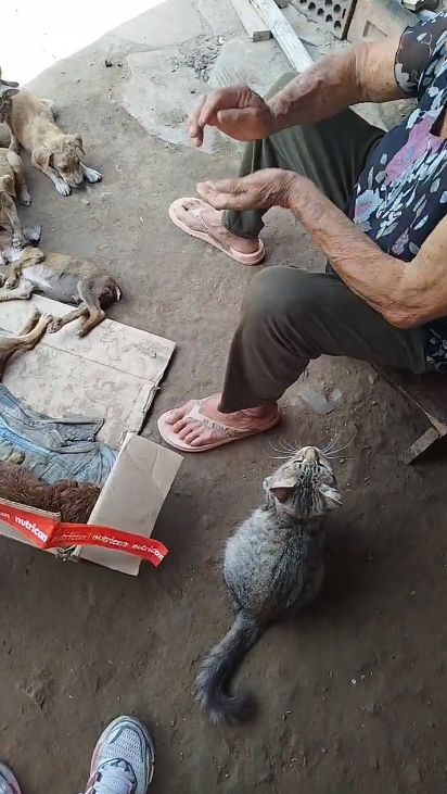 Callao Noticias tweet media