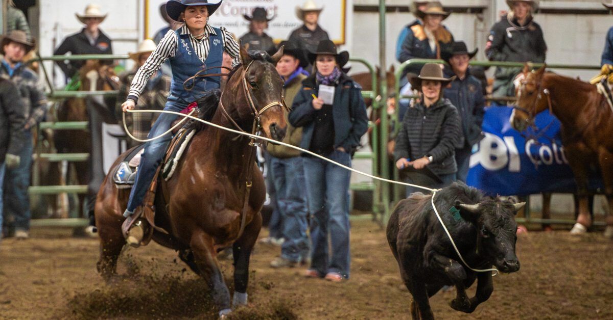 WesternAgReport's tweet photo. College rodeo season is off to a strong start! Find recent standings and upcoming rodeos all here 👇 

Photo by Emma Folz Photography 📷 
https://t.co/JhmKV3pM1y https://t.co/BhFGWNmsnF