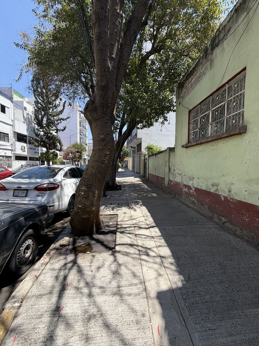 🎙️ ᗰᖇ. ᑕíᐯIᑕO ®🇲🇽₿ ✖️ tweet media