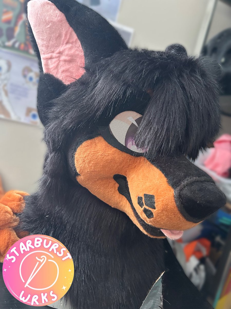 ⭐️Bing DinoDog🌱 tweet media