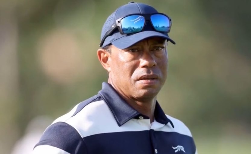 Said Pulido tweet media