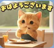 はるか遠い tweet media