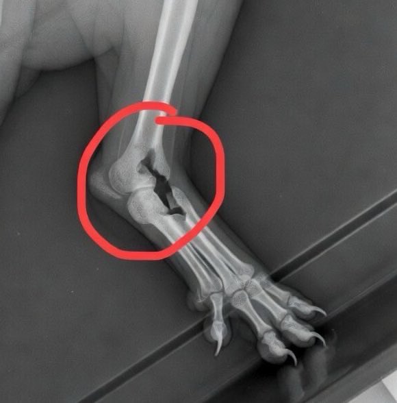 Farving🙆⭐️ tweet media