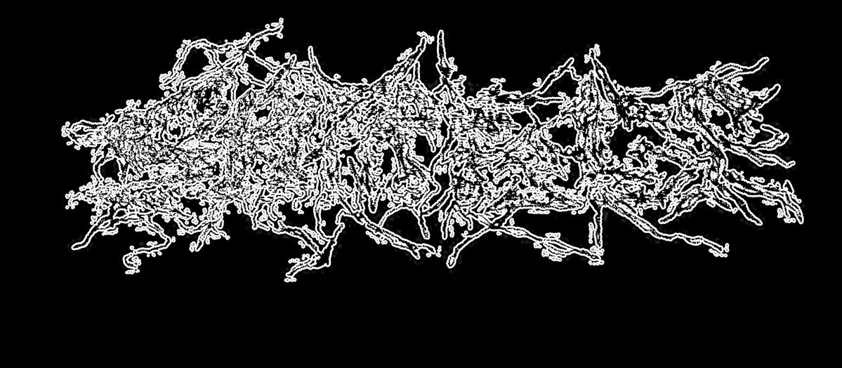 cybernetic gypsy cult tweet media