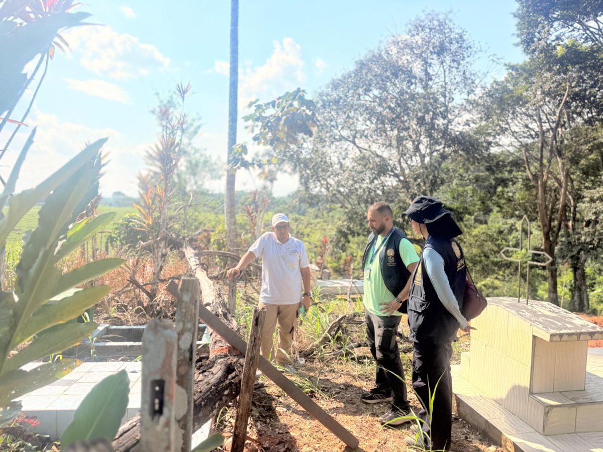 Mision de Apoyo al Proceso de Paz - OEA tweet media