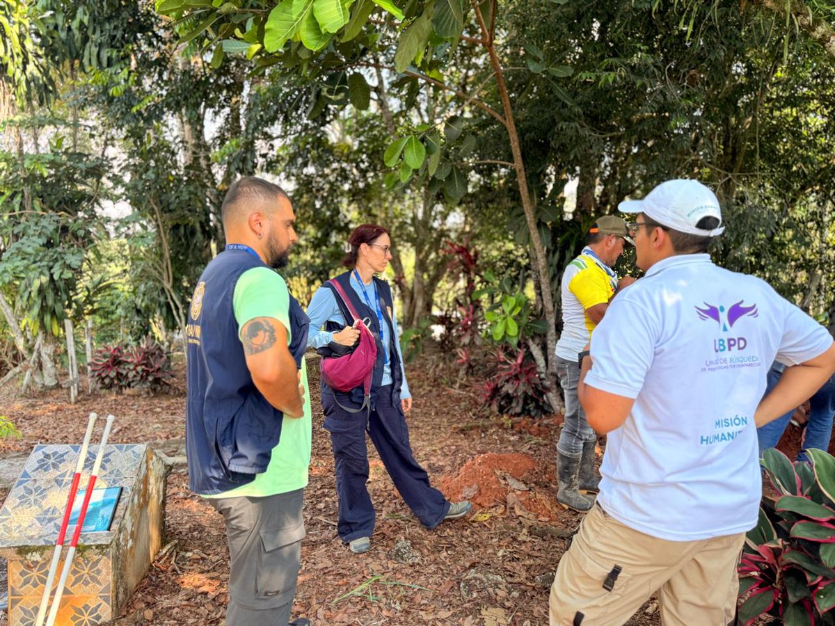 Mision de Apoyo al Proceso de Paz - OEA tweet media