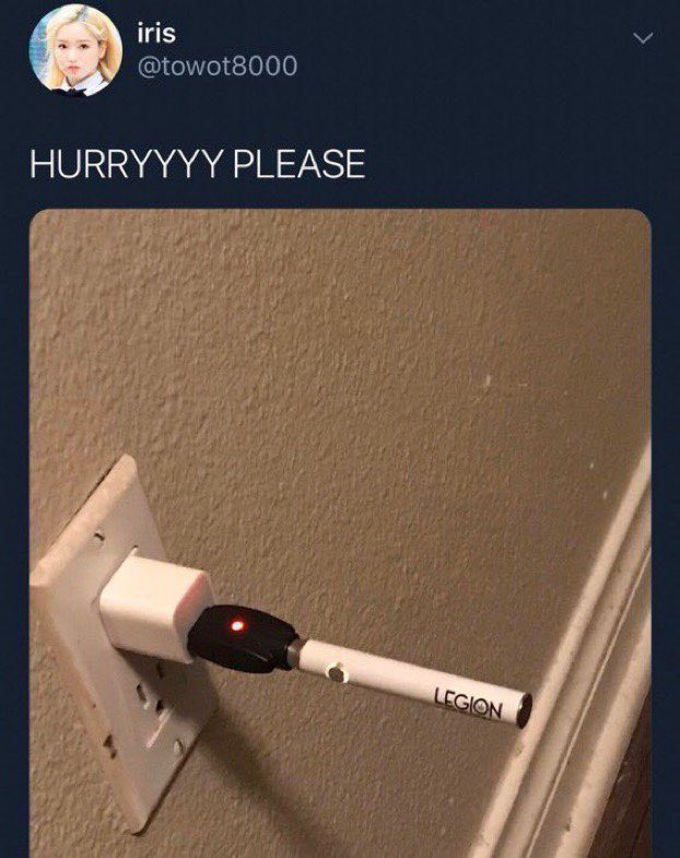 Nico 🦦🏴‍☠️ tweet media