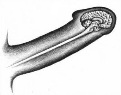 Addi Femboy tweet media