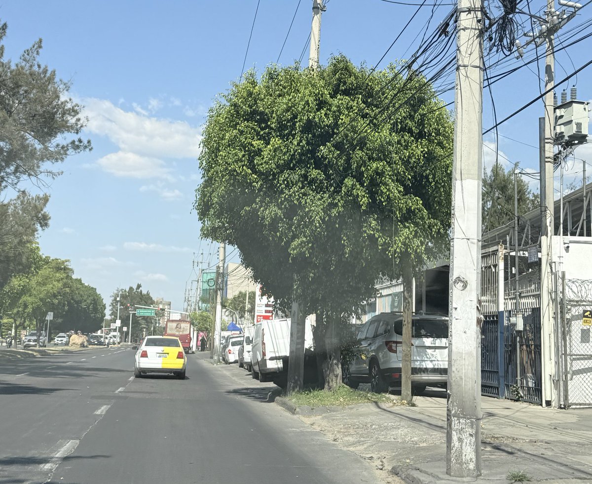 ealonsoph's tweet photo. Como cualquier día, las banquetas de av. mariano otero, frente a plaza la perla, son secuestradas por quien @MovilidadZap y @JaliscoVial no castiga. Increíble. 3 meses reportando y nada @ZapopanGob @GobiernoJalisco ustedes que pueden hacer? @Trafico_ZMG https://t.co/Fj2fHsxP3c