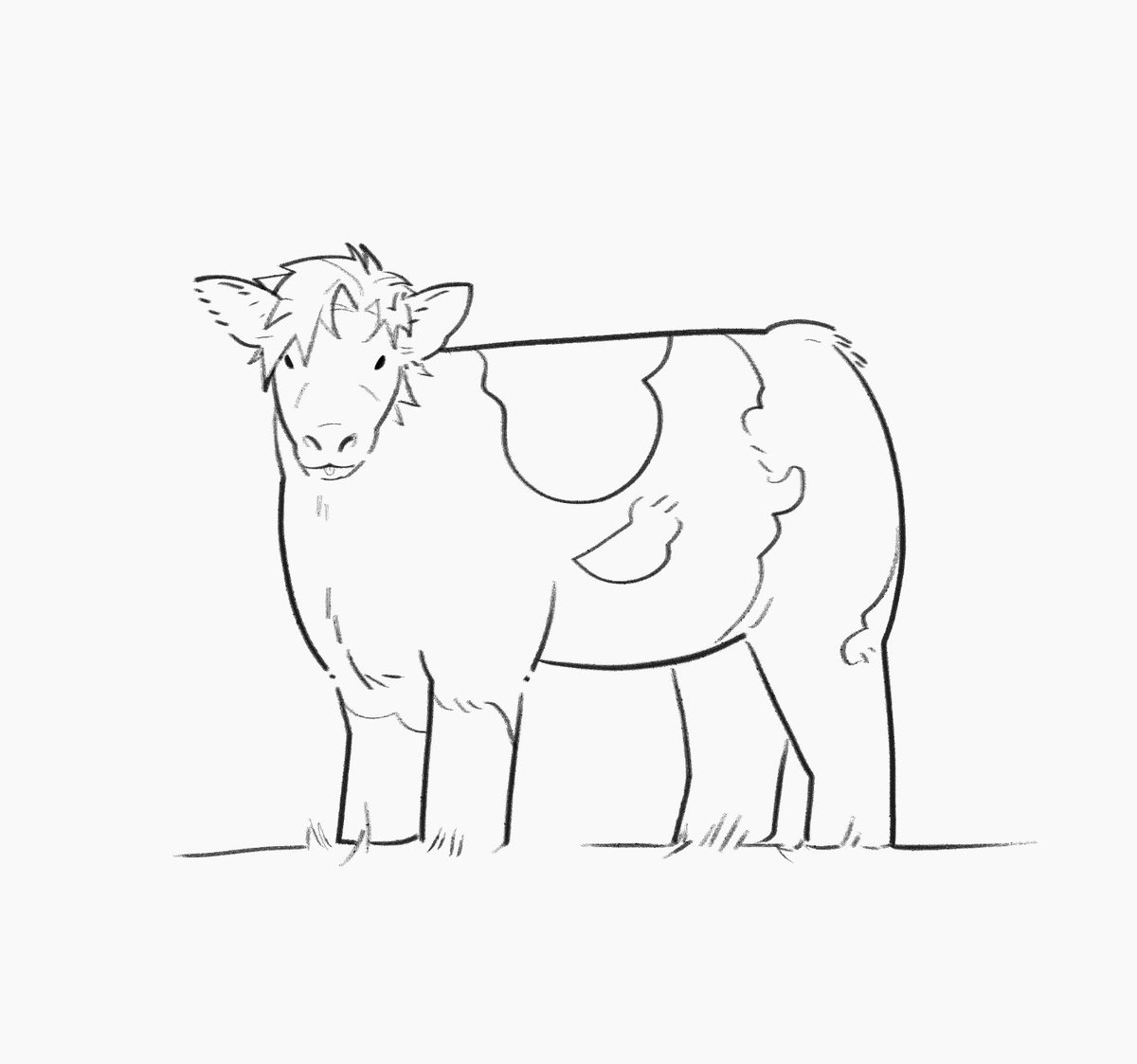 盛🦉秦彻的老公 tweet media