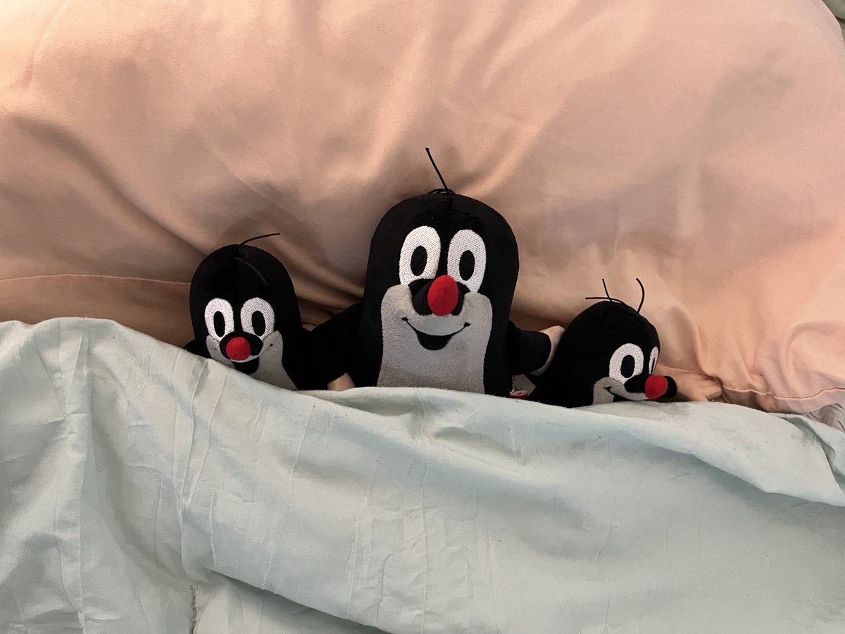 The Krtečeks also made it home safe