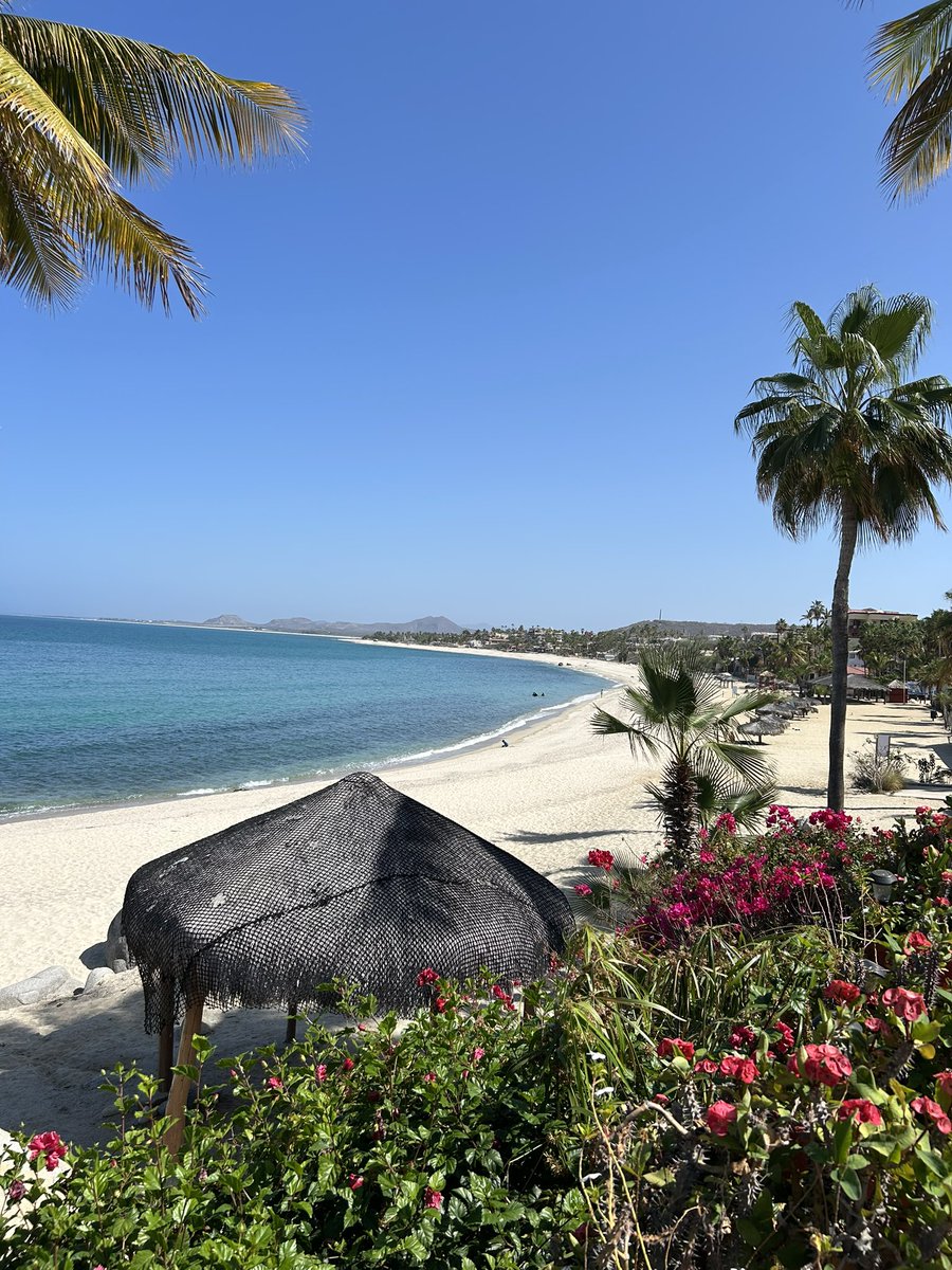 The Boss Lady 🇺🇸🚜✌️ tweet media