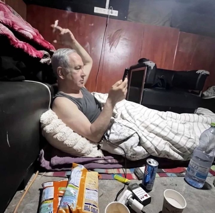 السيد محمد النزيه tweet media