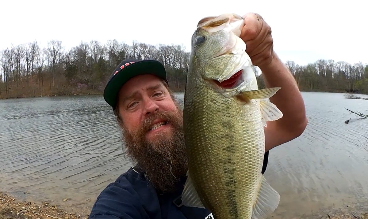 Realistic Fishing tweet media