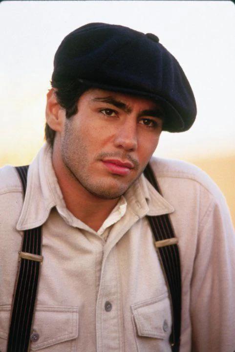 Dan Pimpão tweet media