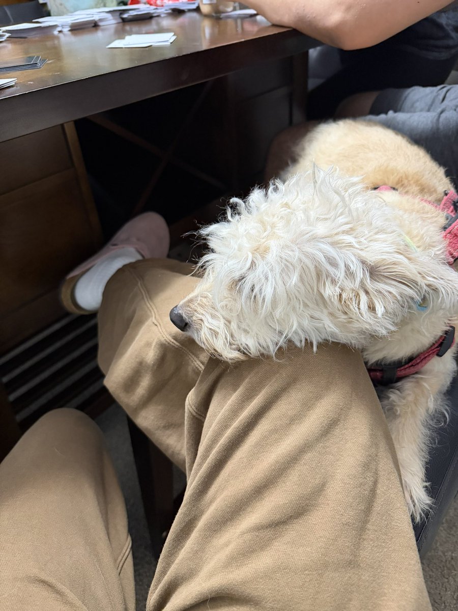 terrel💙 tweet media