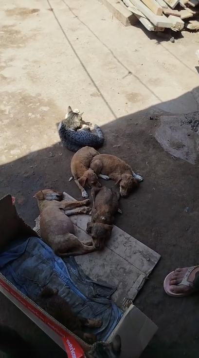 Callao Noticias tweet media