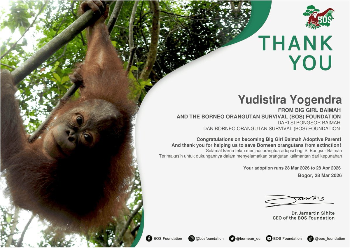 Upii Yupii🩷|| OTW ShoujoRei Cover tweet media