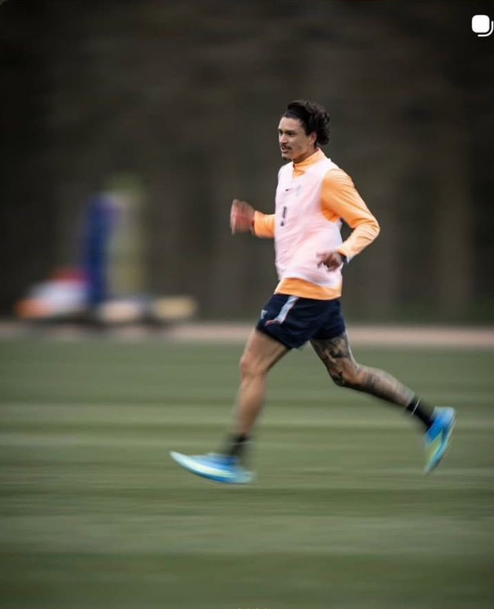 نيفيزه tweet media