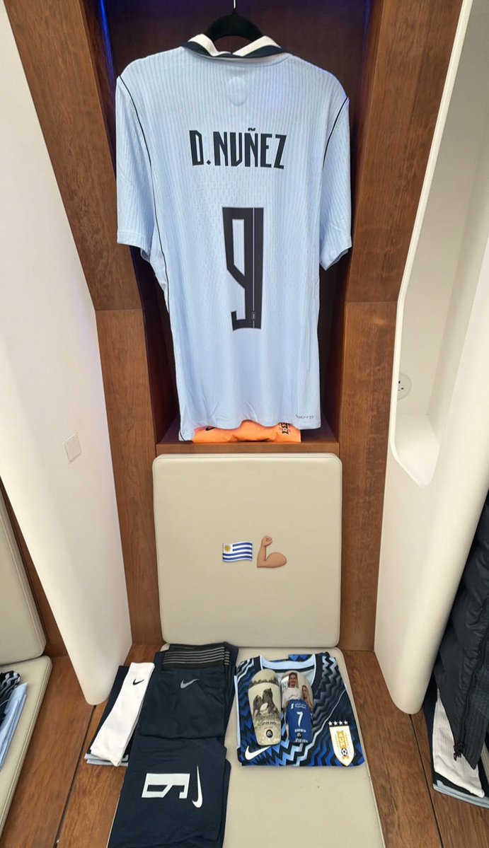 نيفيزه tweet media