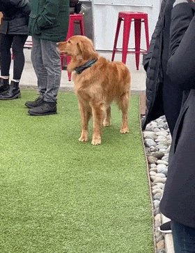 Nemia Rose Tejero tweet media