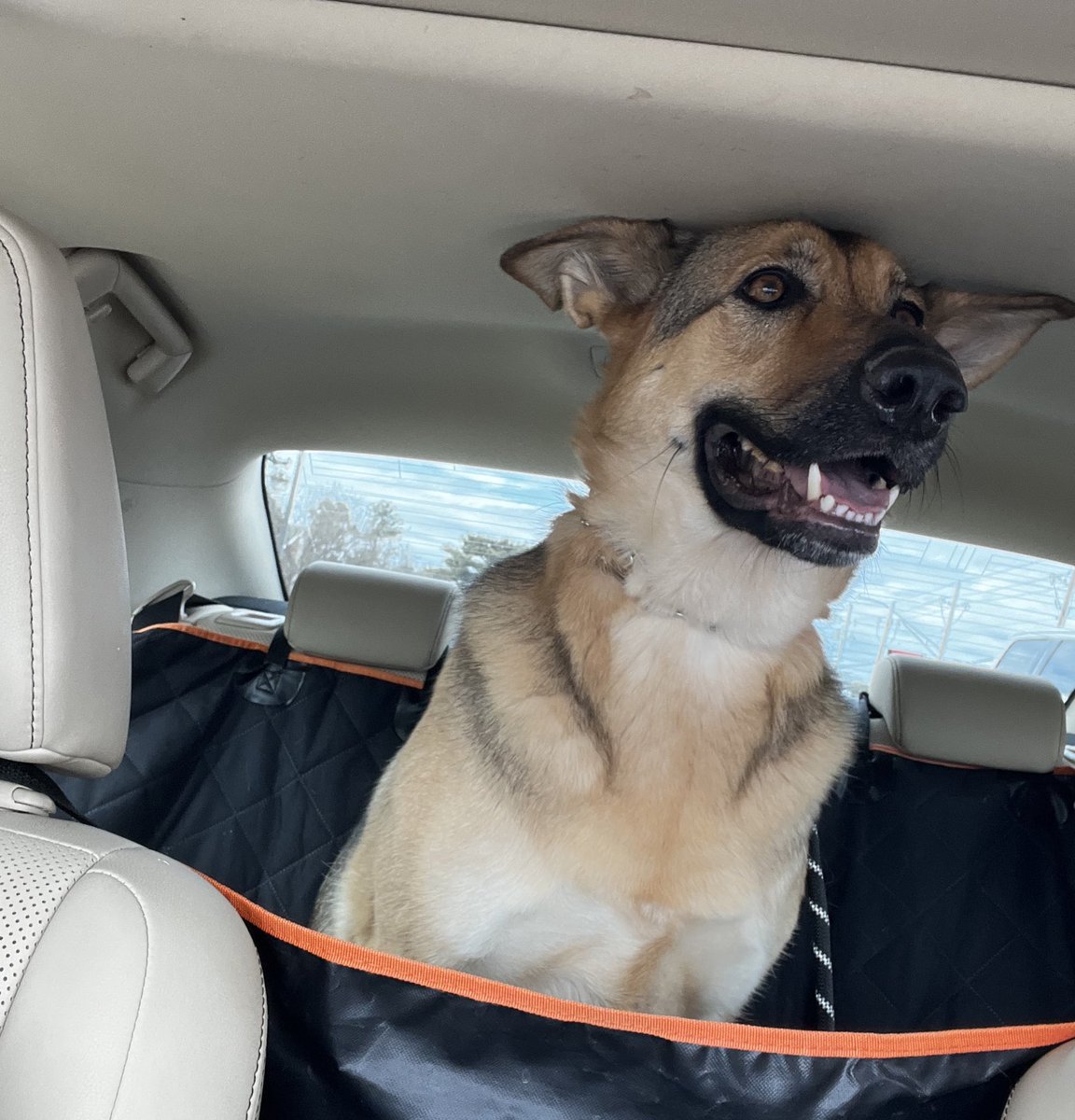 SHAY ✨🇺🇸✨ tweet media