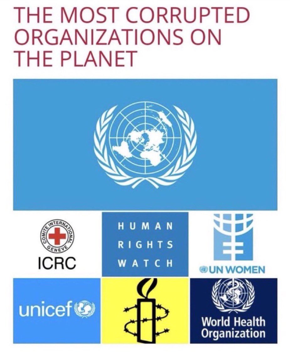 Sônia Prezzotto🇵🇹🇮🇱🇧🇷 tweet media