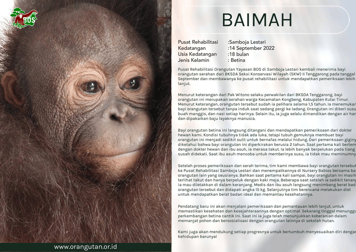 Upii Yupii🩷|| OTW ShoujoRei Cover tweet media