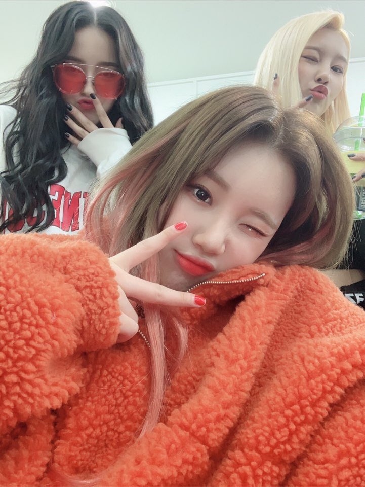 momoland moments that could kill a sapphic tweet media