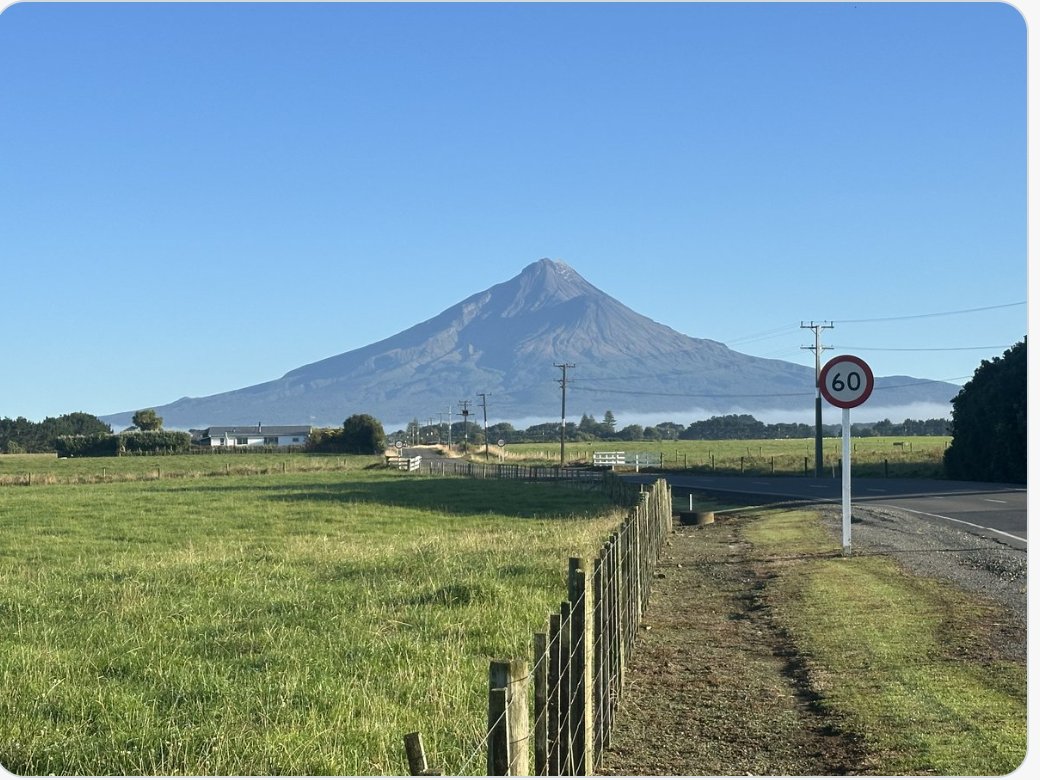 NZWaikato tweet media
