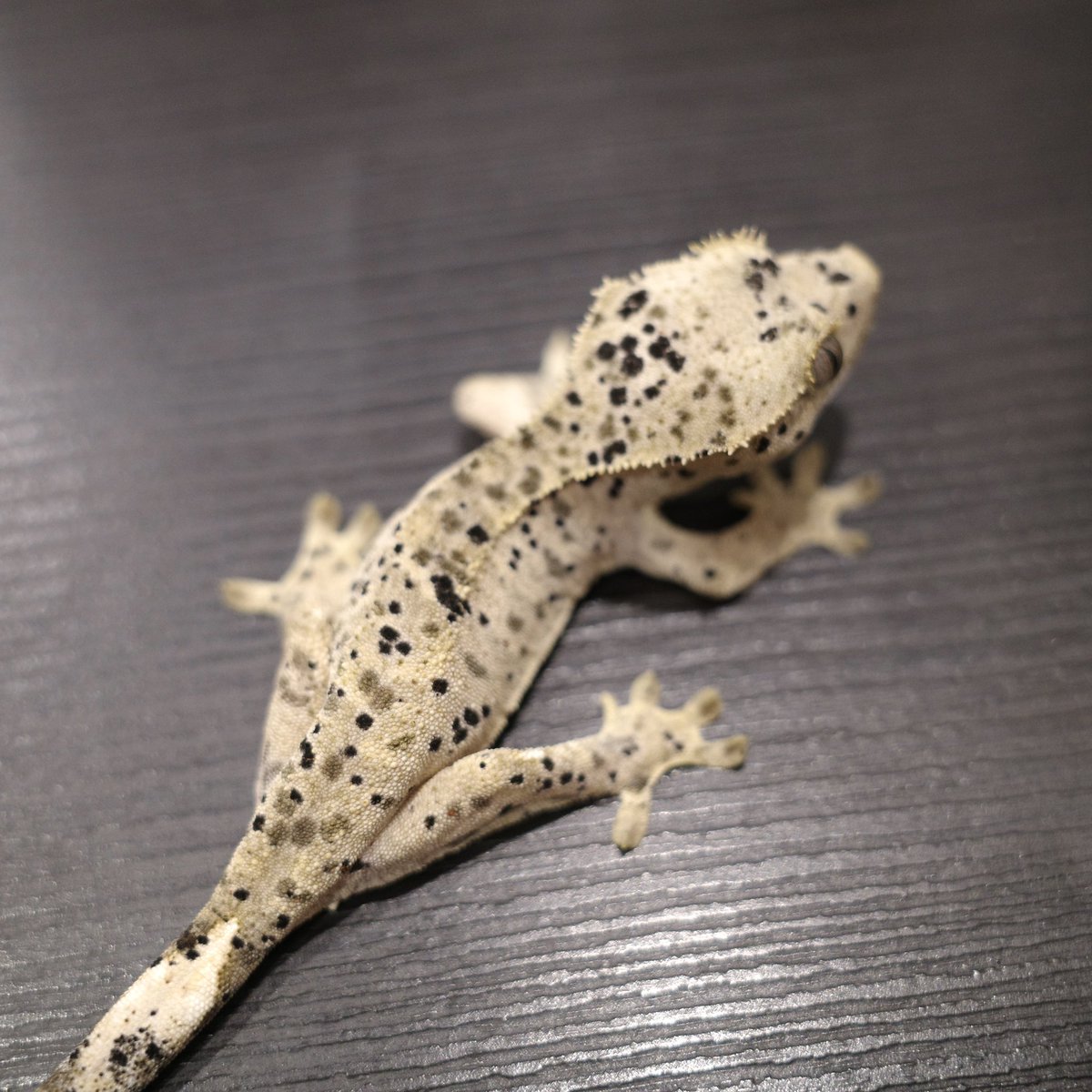 Mir J♥️ tweet media