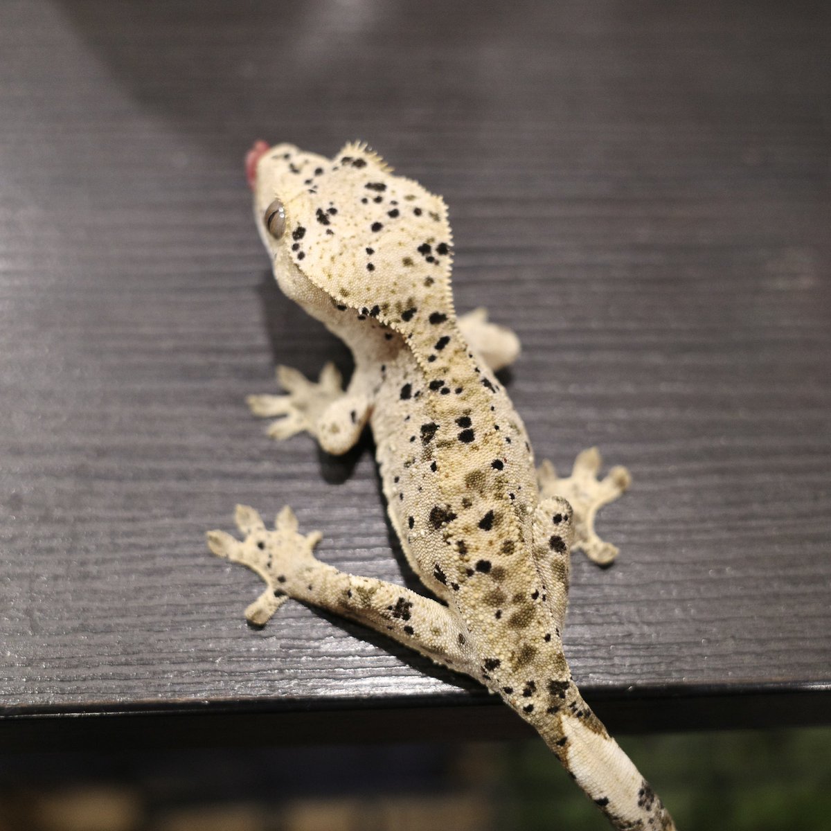 Mir J♥️ tweet media