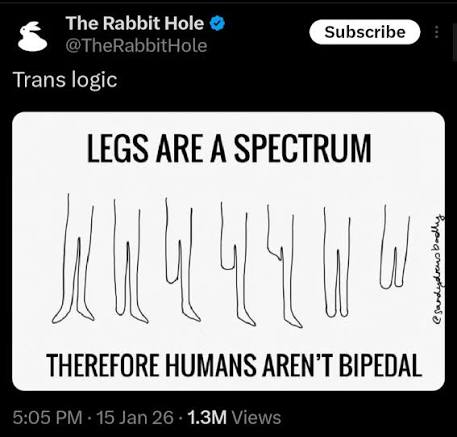 Aiden.Synth tweet media