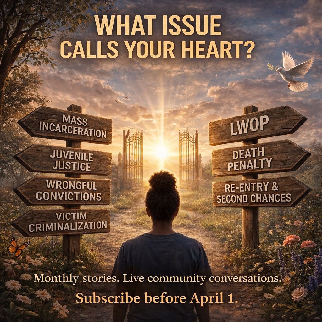 Light After Life tweet media