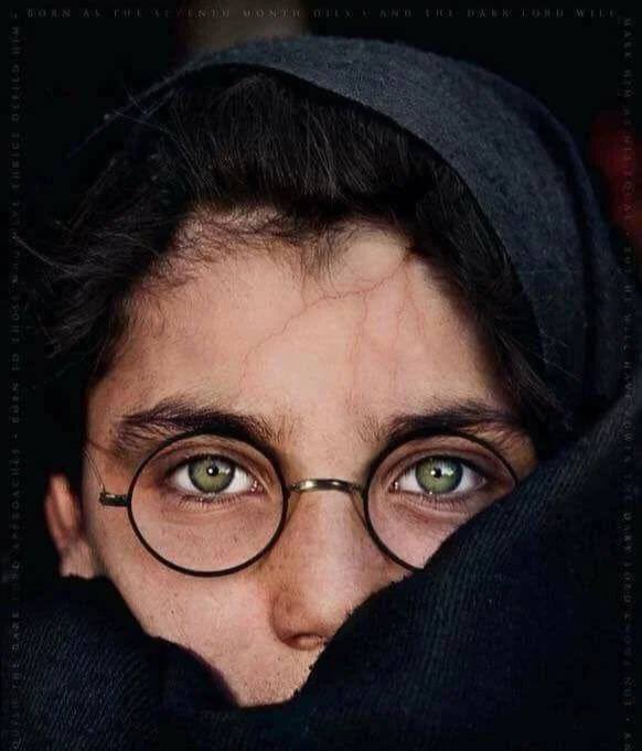 Dmitrii Eeeekimov tweet media