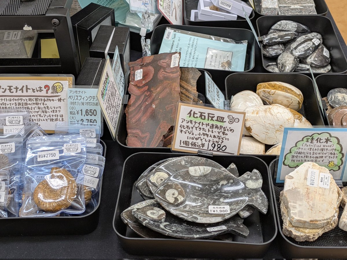 静岡第一ホテル🏨✨ tweet media