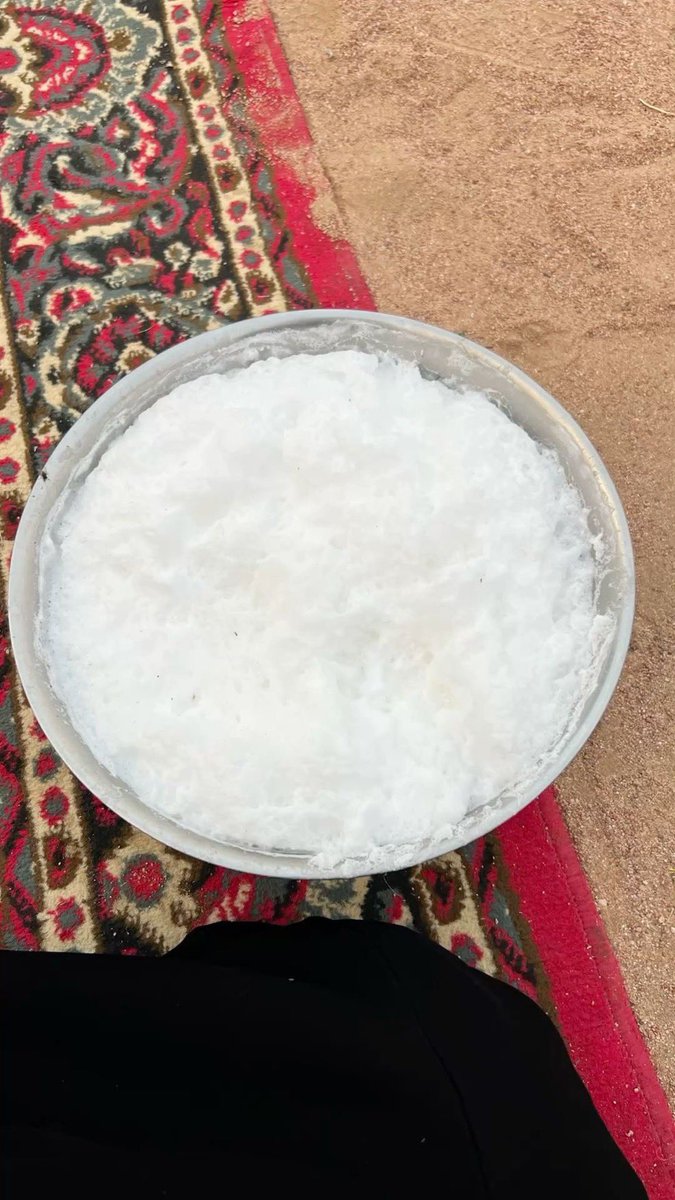 سقراط🌟 tweet media