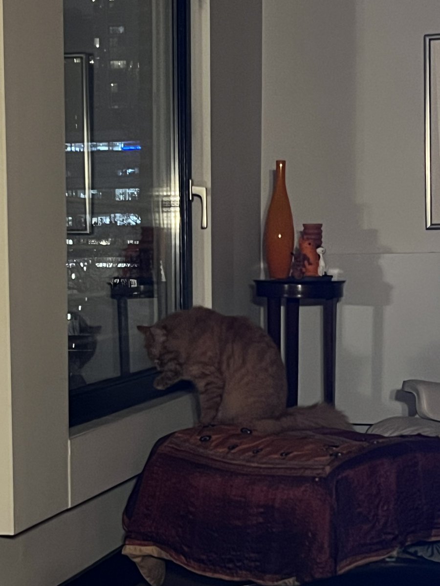 Ebru Umar tweet media