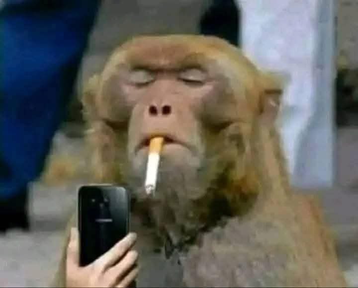 千ᵃhĐ tweet media