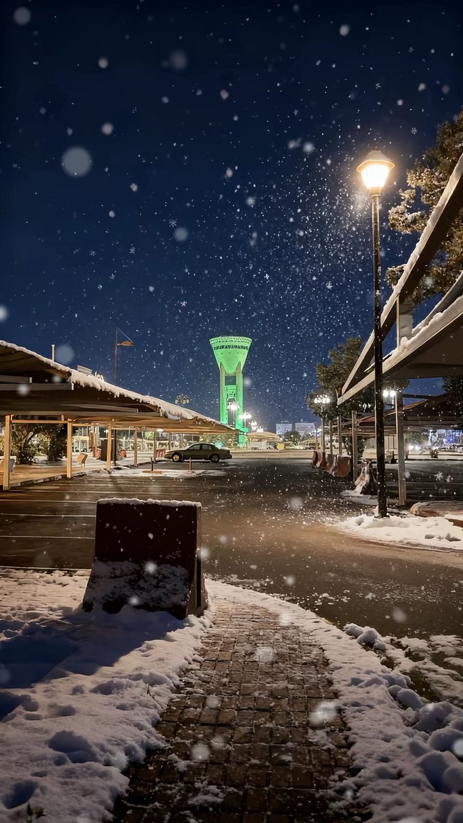 بيكاسو tweet media