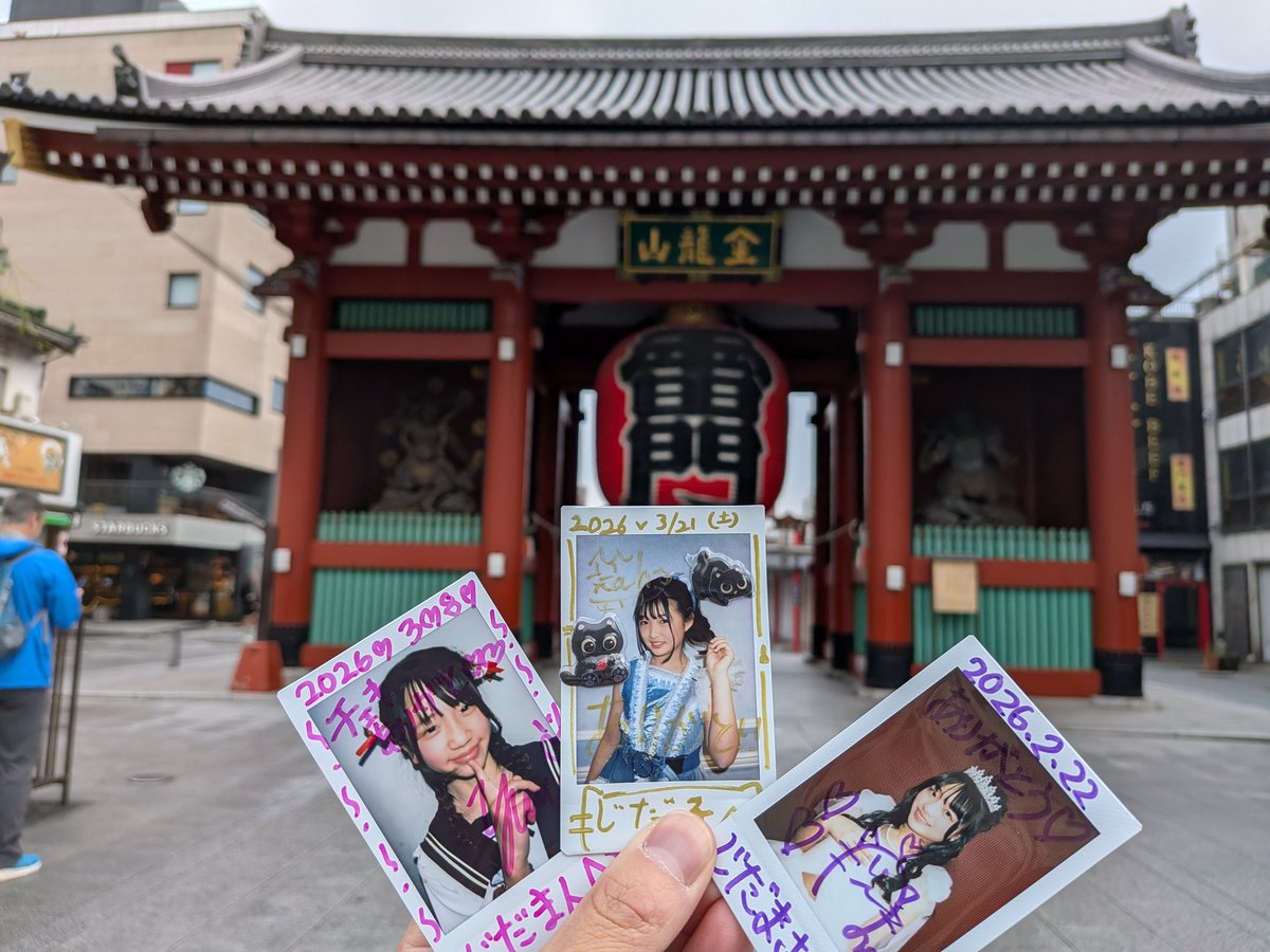 ネコは楽チンだにゃ。(母管理) tweet media