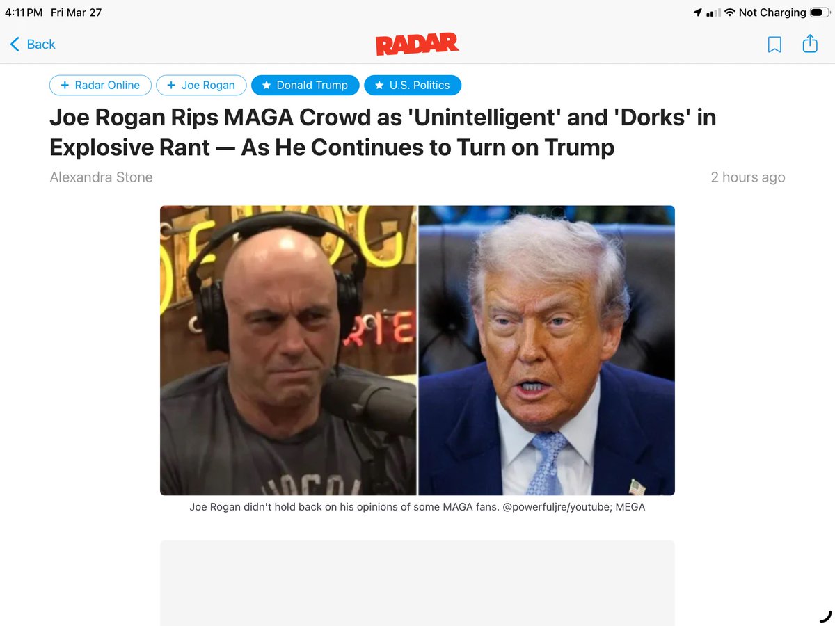 Spring because after WINTER comes 🦁hear me ROAR tweet media