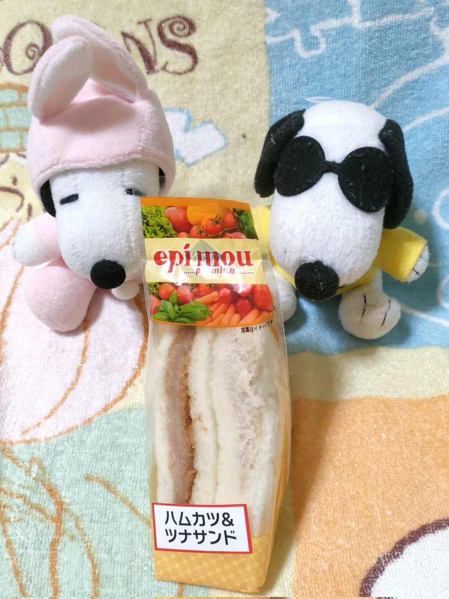 ぴょんた tweet media