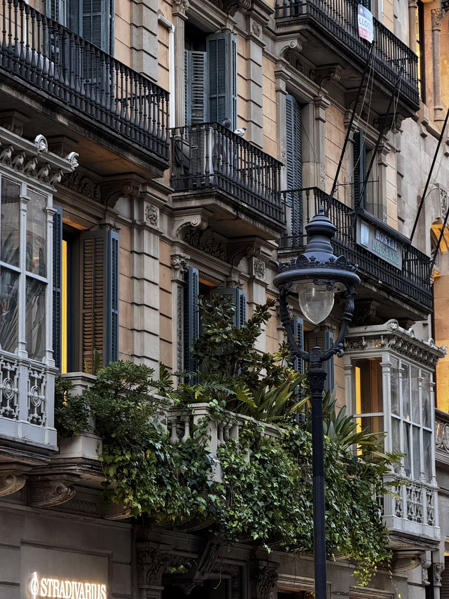 Жаль, что Игорь tweet media