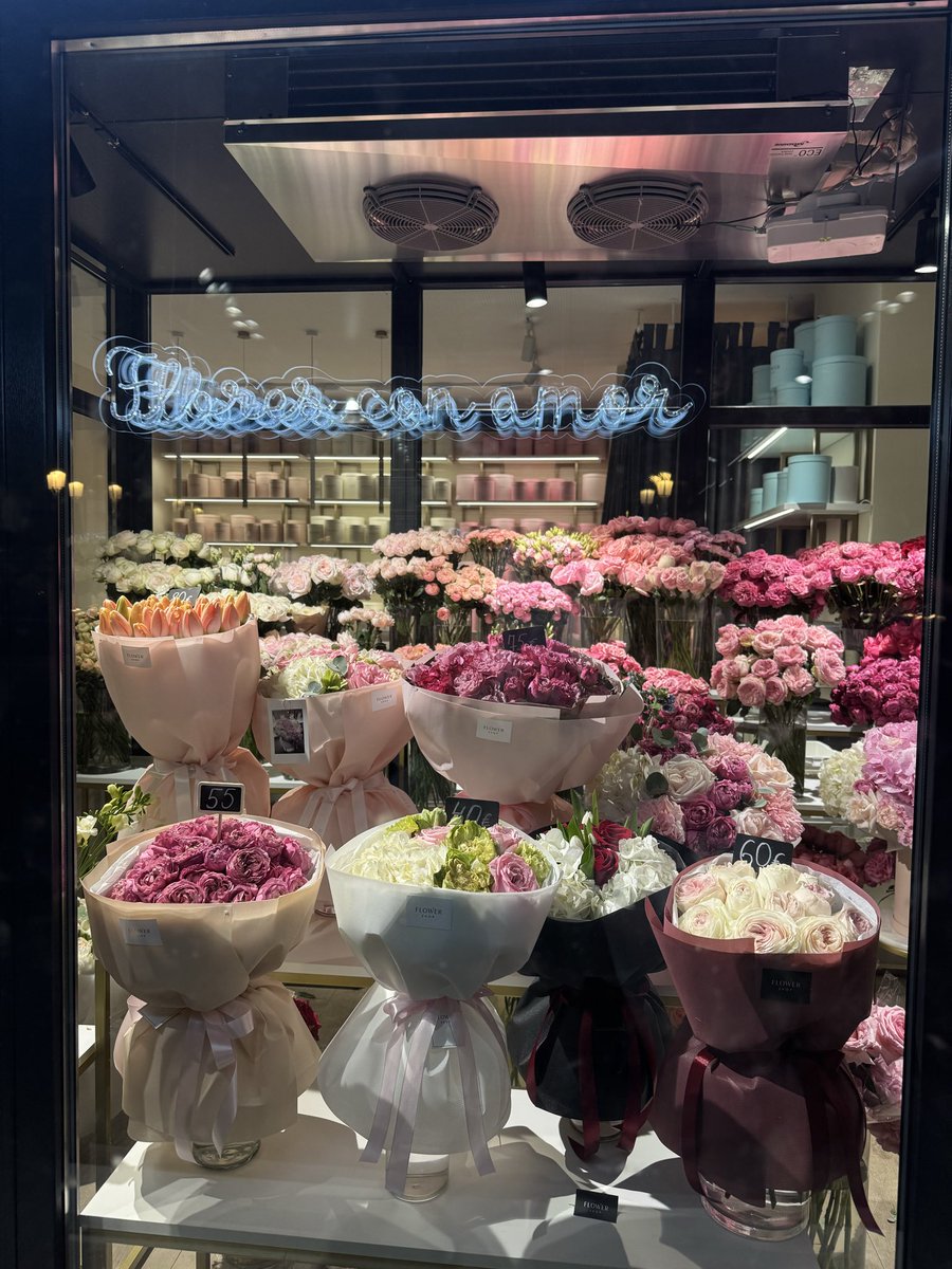 جوجه تیغی بالغ tweet media