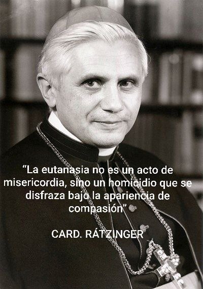 @dessere88fenice tweet media