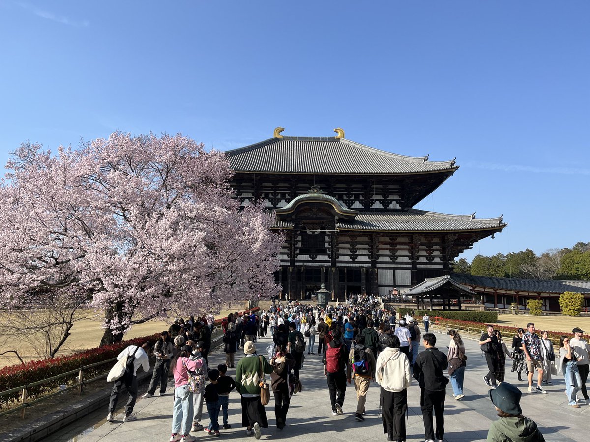 わんばん|自由で身軽な人生構築 tweet media